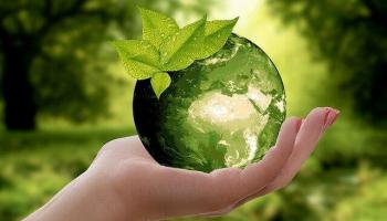 Cause environnementale ecologie