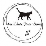 Leschatspaixbelle